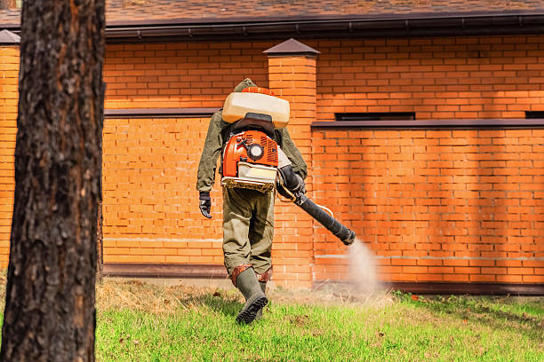Trusted Mosquito Control service in Seven Mile, AZ - Nex Pest Control